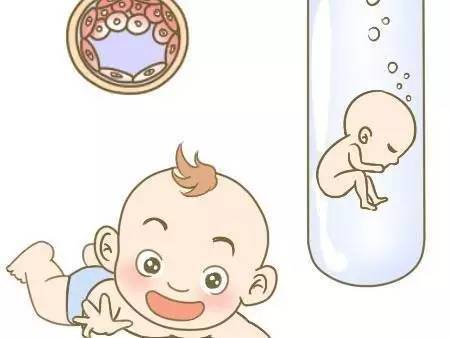 胚胎专家